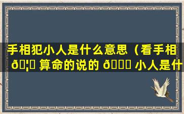 手相犯小人是什么意思（看手相 🦉 算命的说的 🐋 小人是什么）